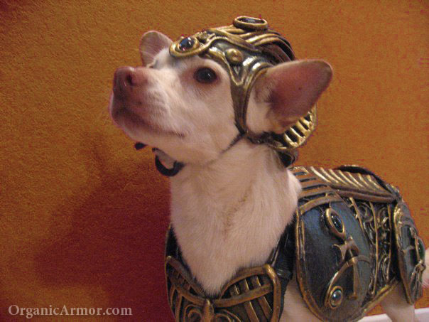 Whistle in Anubis armor