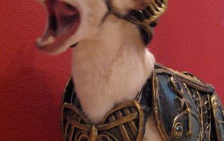 Anubis, the mighty Egyptian God Chihuahua
